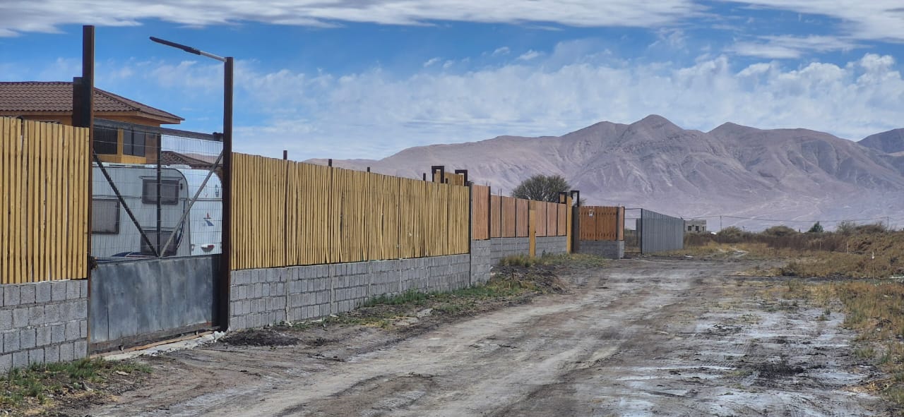 WhatsApp Image 2025-08-17 at 12.19.04 PM_69ee4b2c3f055.jpeg